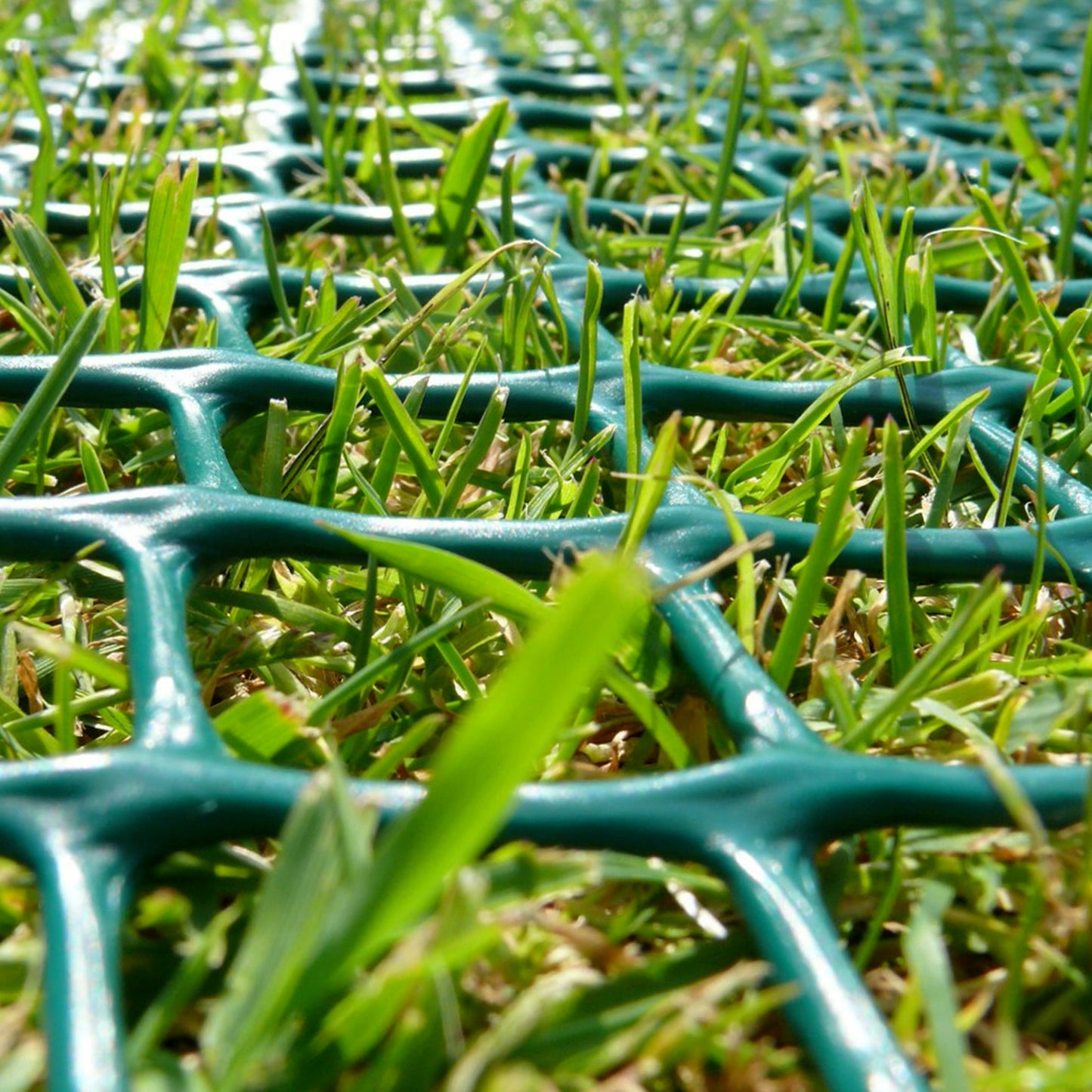 High Traffic Outdoor Turf Reinforcement Grass Protection Mesh