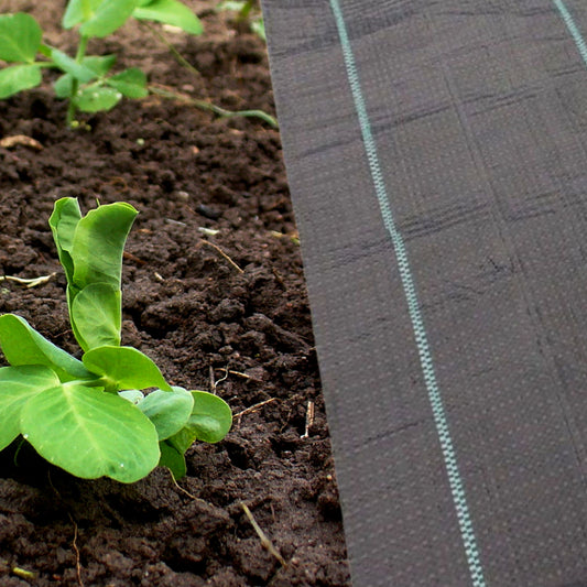 Weed Control Membrane